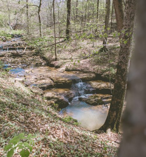 Pack your water shoes and explore our private creek