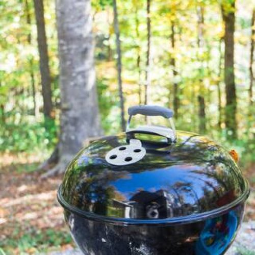 weber charcoal grill