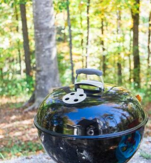 weber charcoal grill