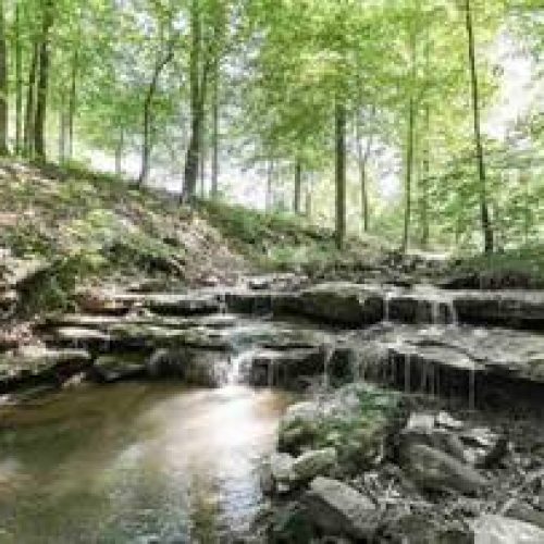 Happy Camper RV Park private creek