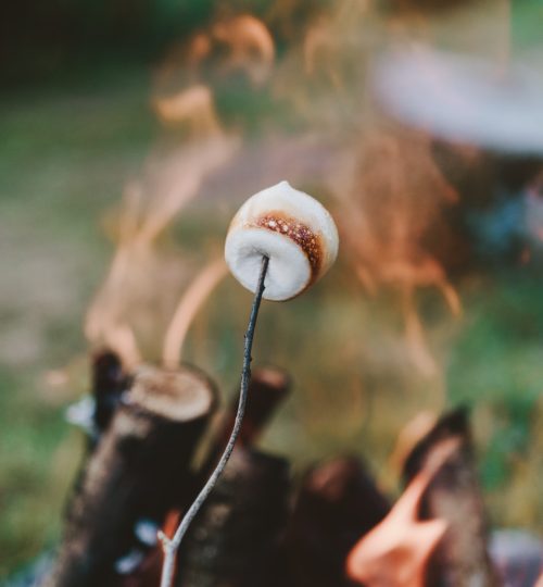 Unplug and roat s'mores!